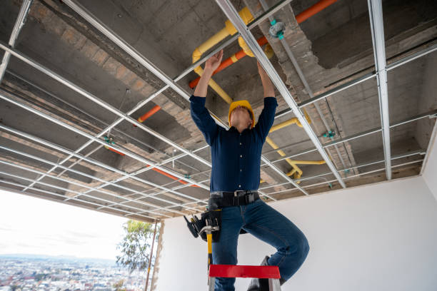 Best Affordable Plumber Near Me  in Goodland, IN