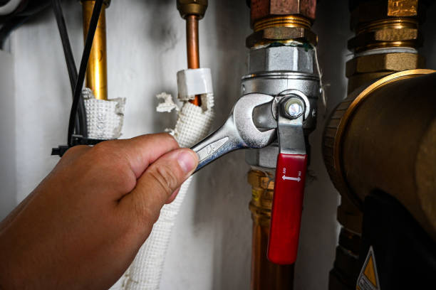 Best Leak Detection Services  in Goodland, IN